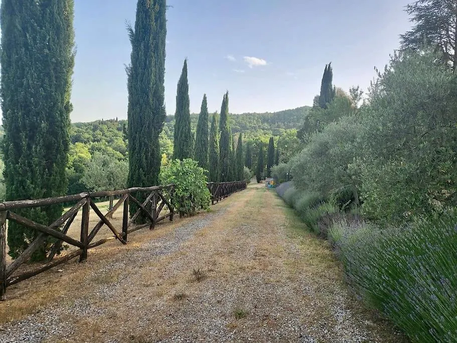 Luxury 1-Bedroom House With The Pool In Tuscany. Anghiari