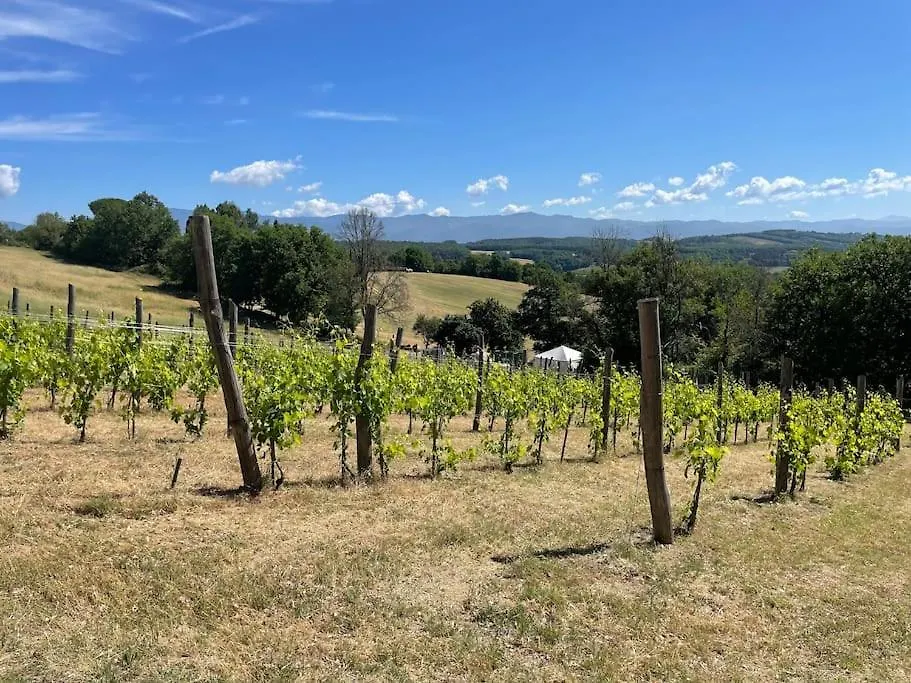 Holiday home Luxury 1-Bedroom House With The Pool In Tuscany. Anghiari