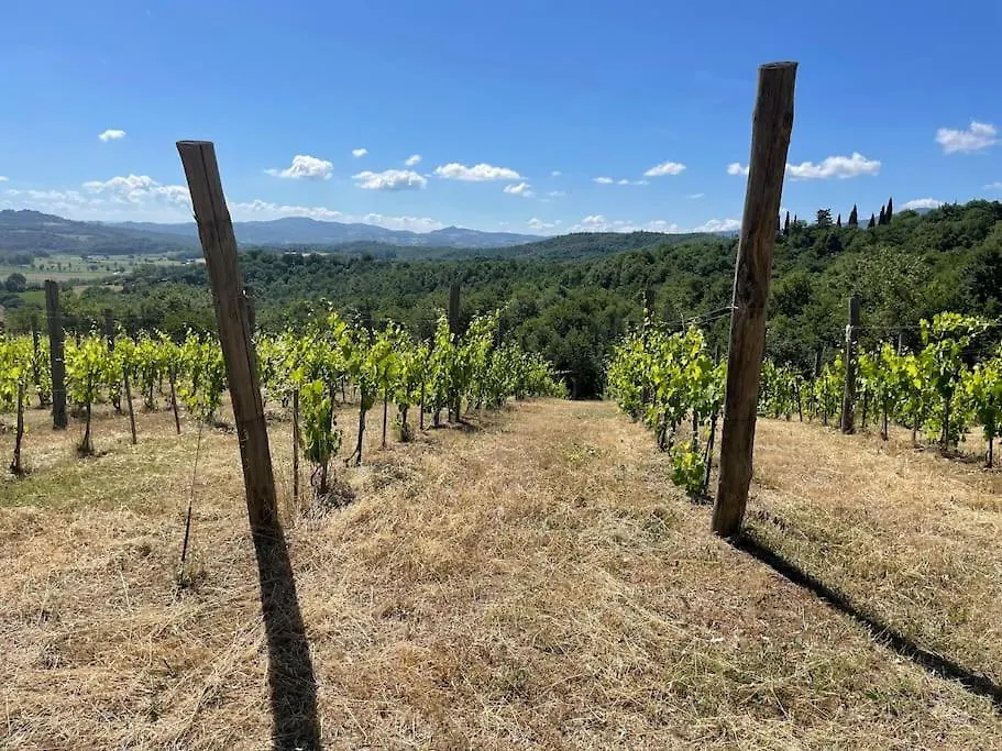 Luxury 1-Bedroom House With The Pool In Tuscany. Anghiari Italy